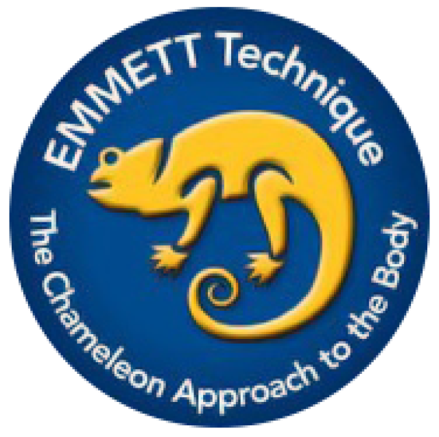 EMMETT Meet & Share Day