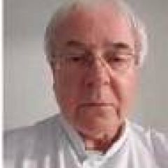 C.A.J.M. van den Hout